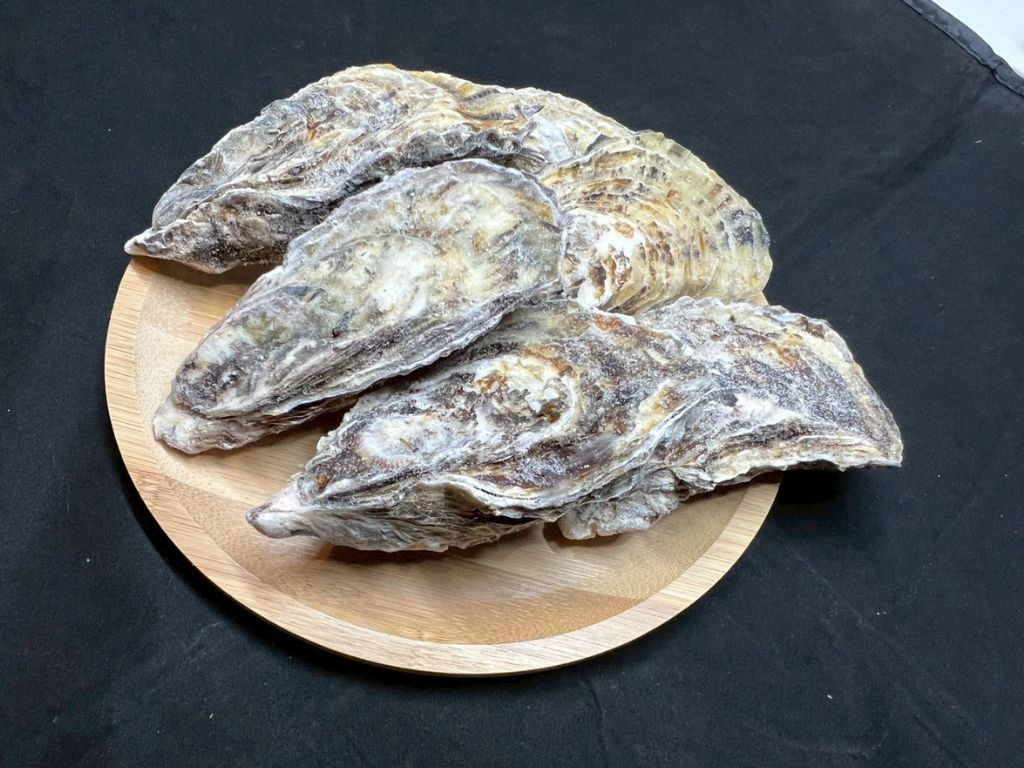 日本のわんぱく小僧